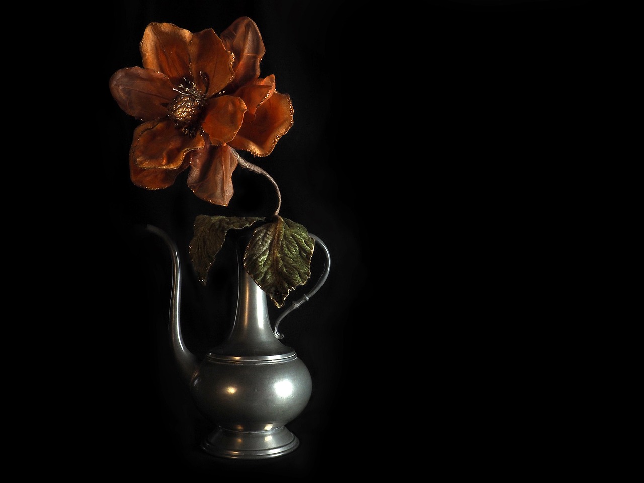 Free Flower Illuminated photo and picture