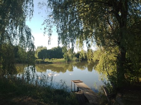 Free Lake Nature photo and picture