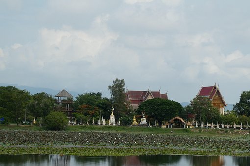 Messen, Natur, Sumpf, Reisen