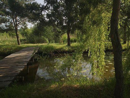 Free Lake Nature photo and picture