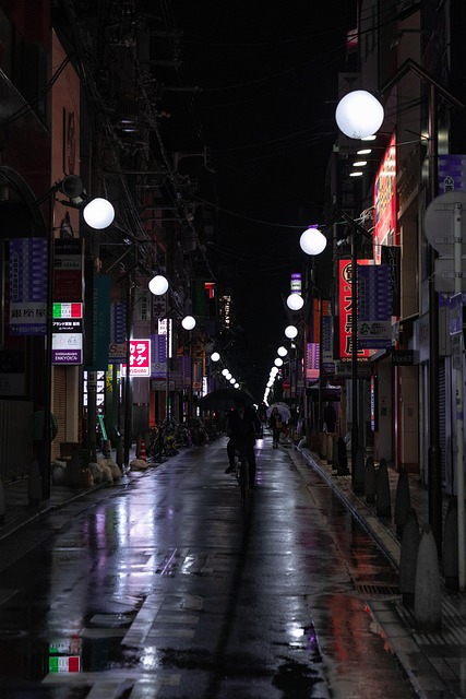 Free Street Rain photo and picture