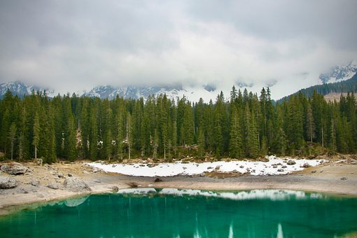 Free Glacier Lake Forest photo and picture
