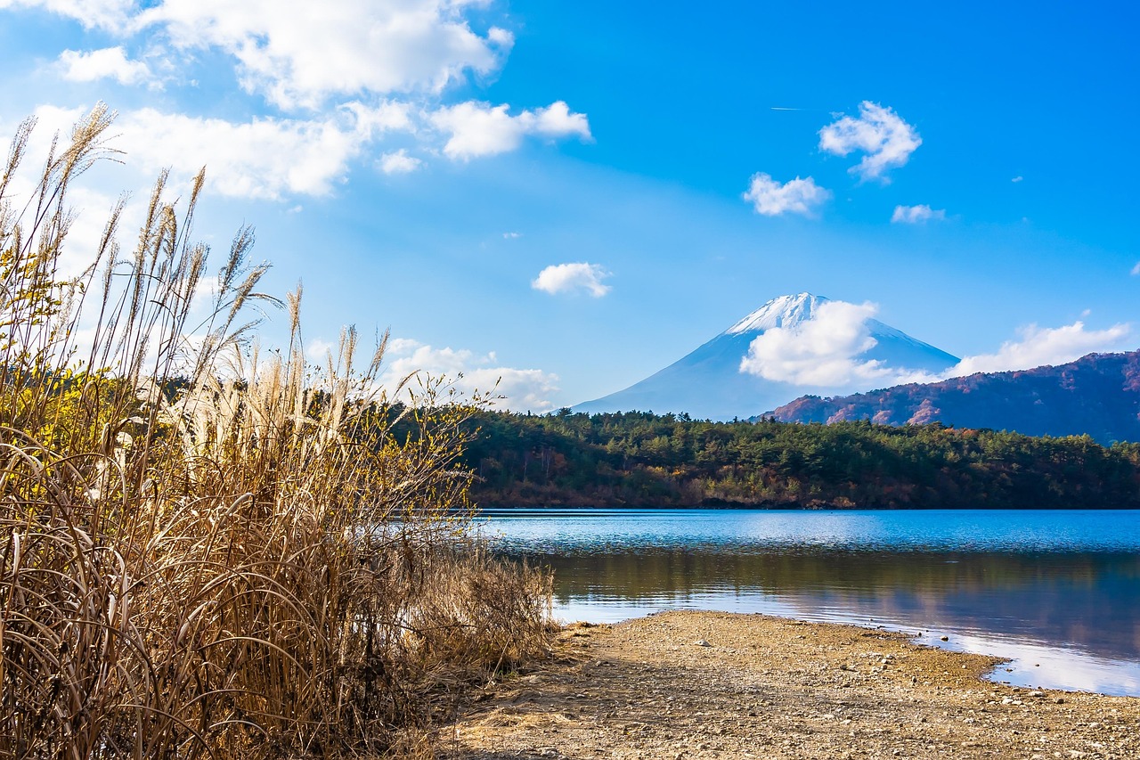 Asia - free online jigsaw puzzle photo