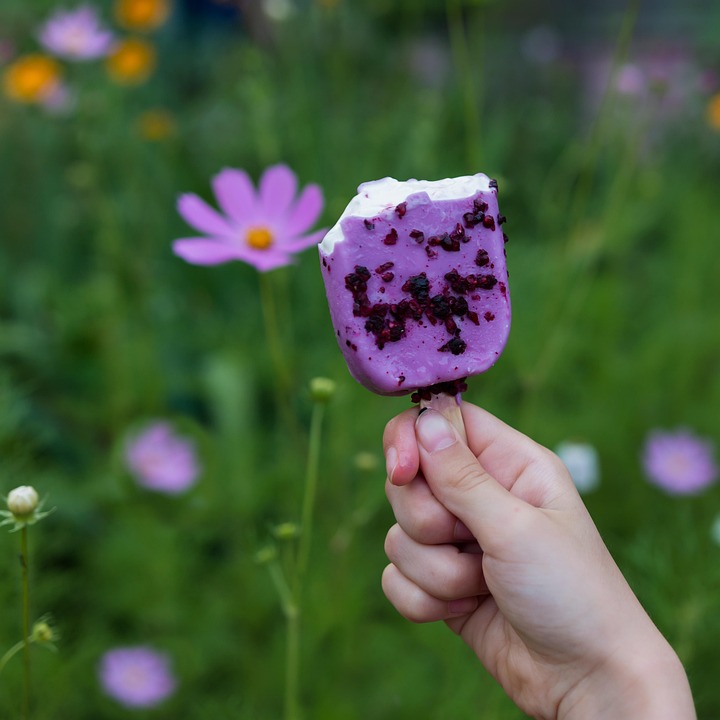 Flowers Ice Cream Snack Free photo on Pixabay Pixabay