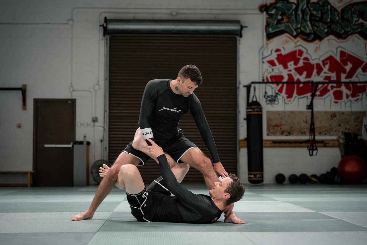 Plus De 20 Photos Gratuites De Bjj Et De Jiu Jitsu Pixabay