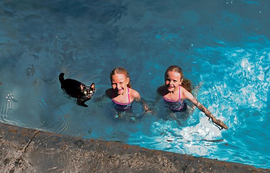 Cat, Niños, Chicas, Agua, Natación