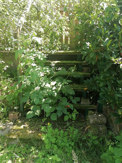 Free Green Stairs photo and picture