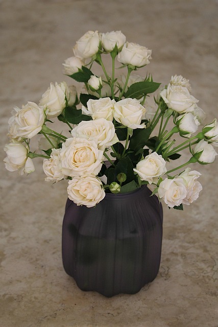 Free Roses Nature photo and picture