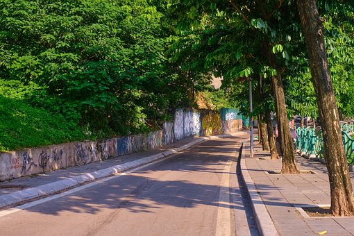 Straße, Natur, Grüne Bäume, Sommer