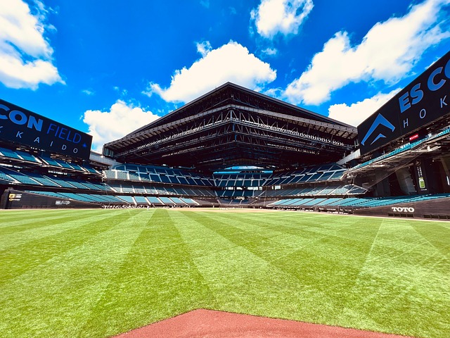 Stadion, Baseballbane, Felt, Landskab