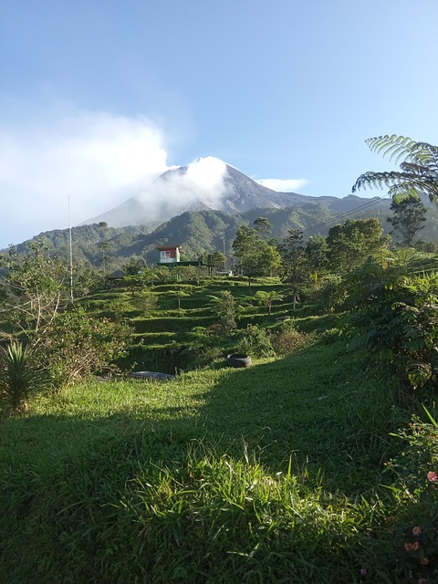 Free Mountain Indonesia photo and picture