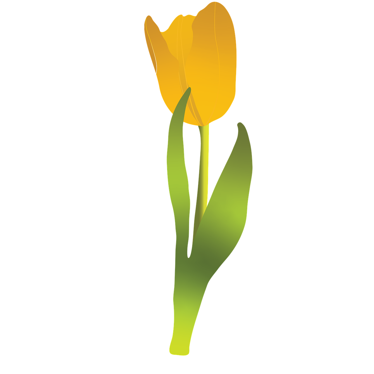 Download Flowers Spring Summer Royalty Free Stock Illustration Image 