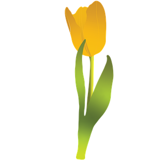Flores, Primavera, El Verano, Naturaleza