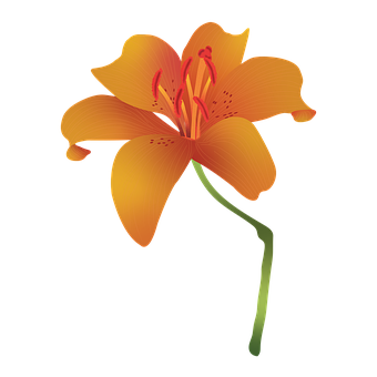 Flores, Primavera, El Verano, Naturaleza