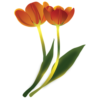 Flores, Primavera, El Verano, Naturaleza