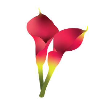 Flores, Primavera, El Verano, Naturaleza
