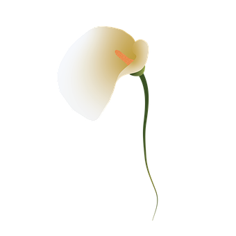 Flores, Naturaleza, Florecer, Bloom