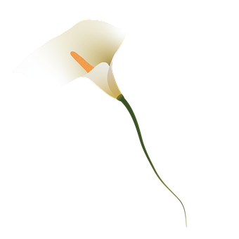 Flor, Flora, Primavera, Naturaleza