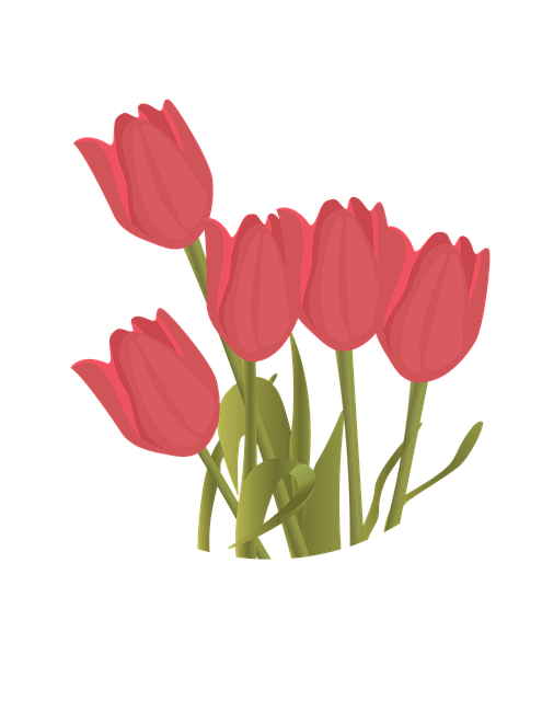 Flor, Florecer, Primavera, Jardín