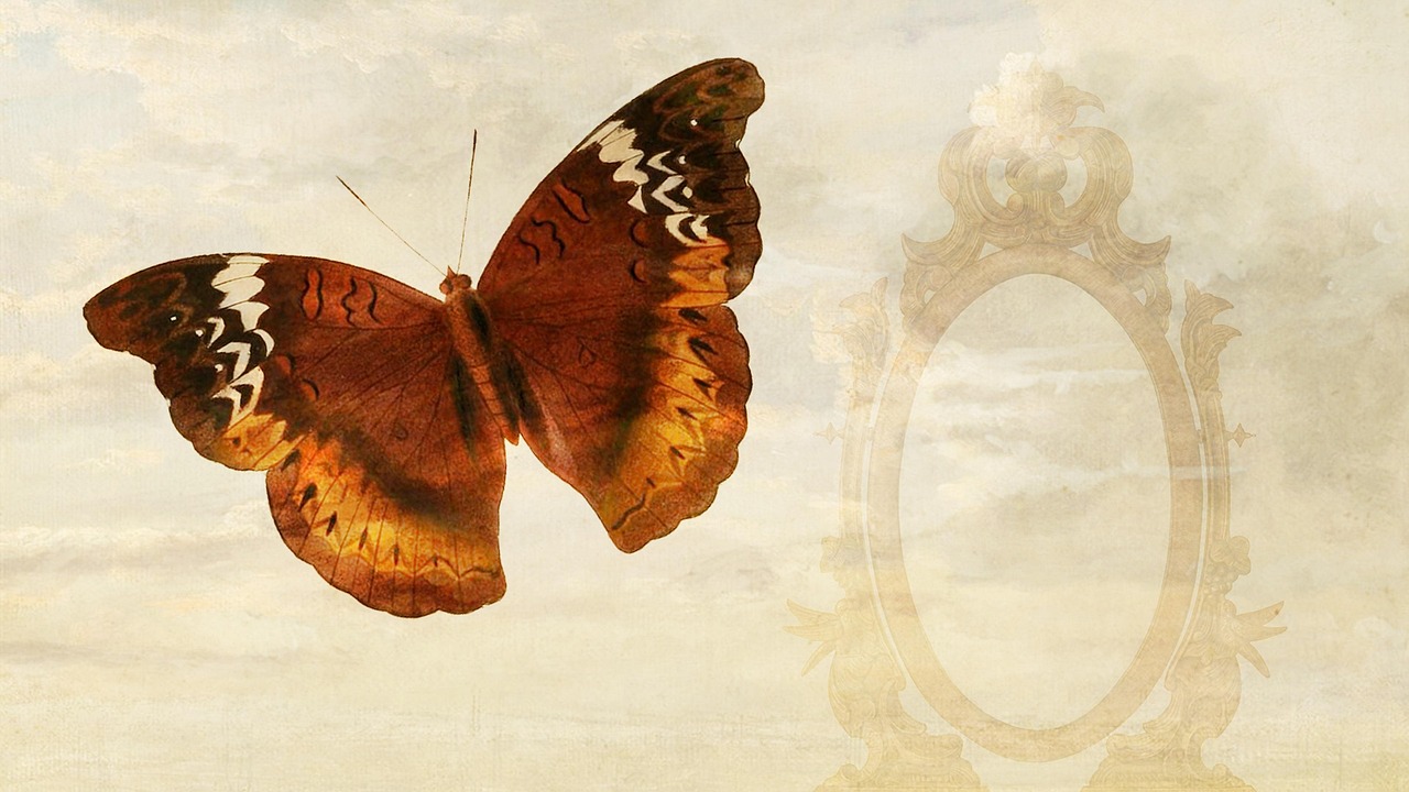 Download free HD stock image of Background Free background beautiful decorative wallpaper decor backdrop illustration