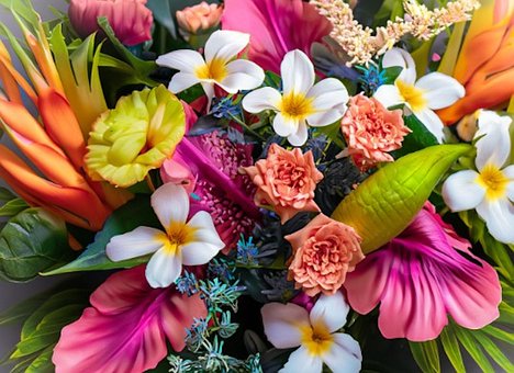 Free Flower Plants illustration and picture