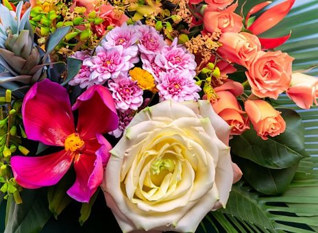 Free Flowers Colrful illustration and picture