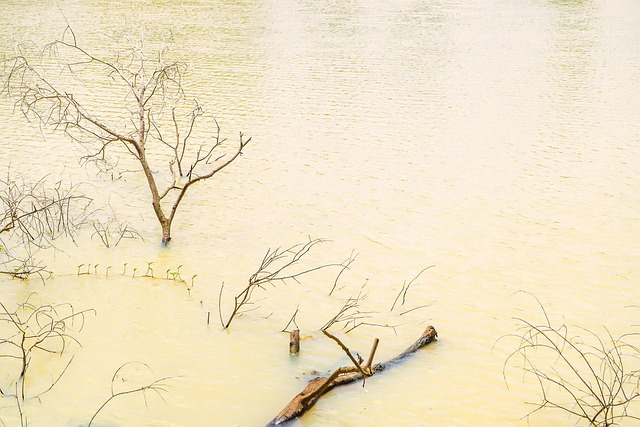 Free Childhood Landscape photo and picture