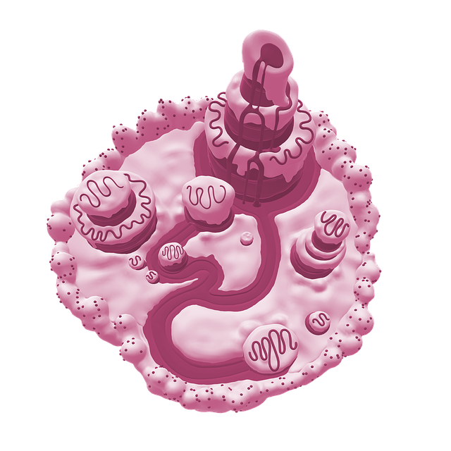 Kuchen, Glasur, 3D, Perspektive