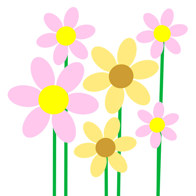 Blomster, Bloom, Blomstre, Natur, Flora
