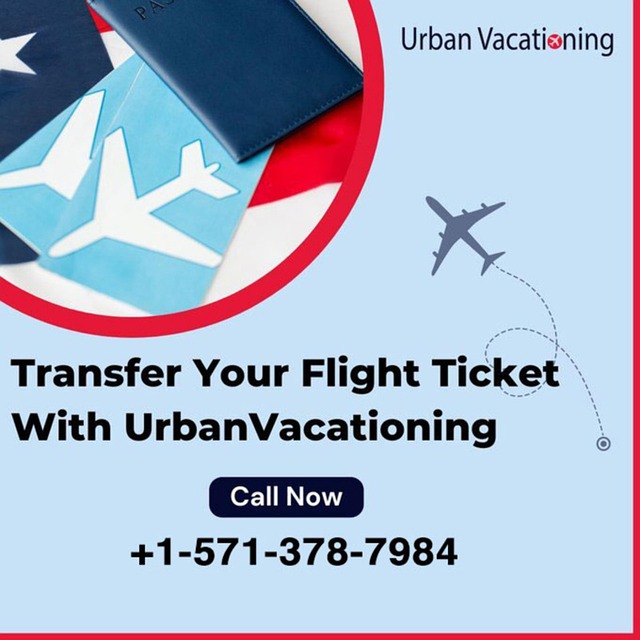 Download How To Transfer A Plane Ticket How To Transfer A Flight download-how-to-transfer-a-plane-ticket-how-to-transfer-a-flight
