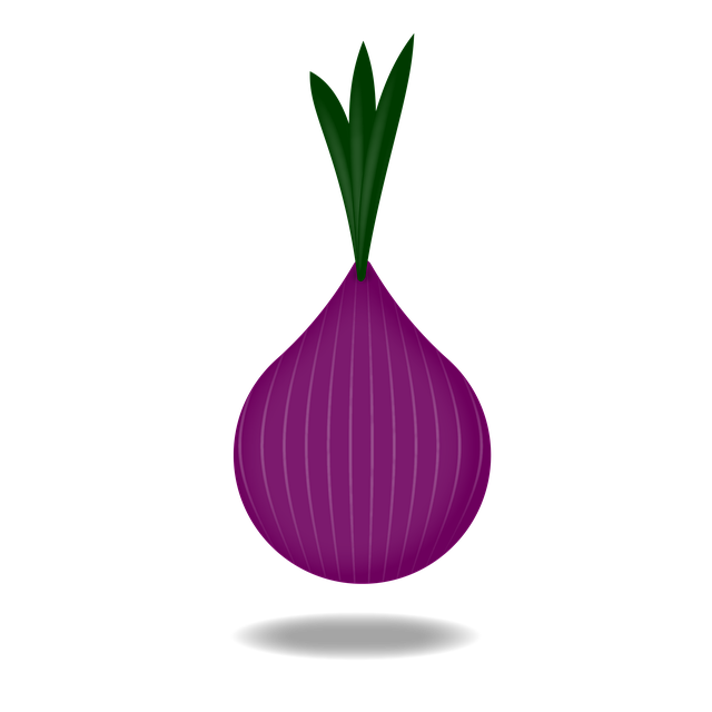 Free onion vegetable vegetarian illustration