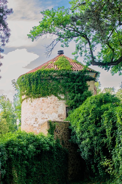 Free Bastion Architecture photo and picture