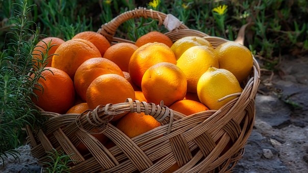 Free Oranges Lemons photo and picture