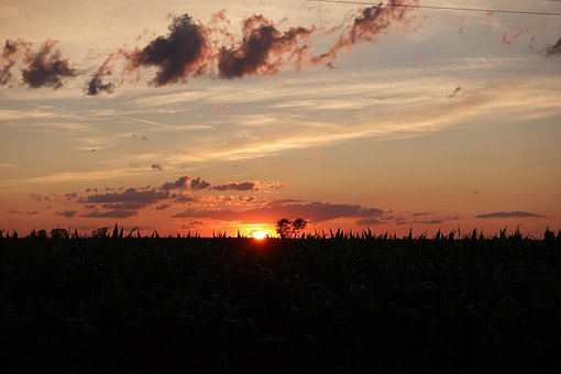 Free Landscape Nature photo and picture