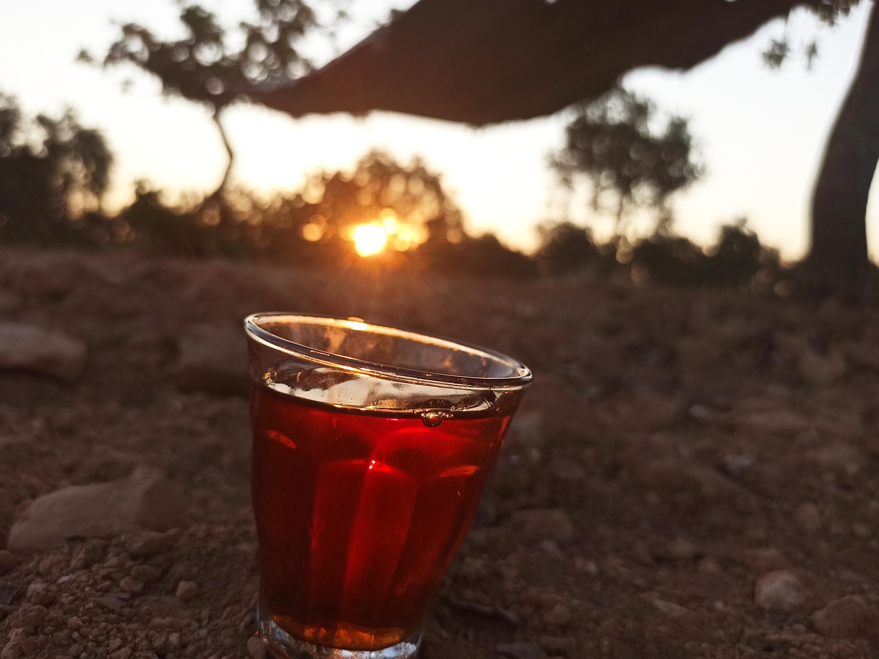 Tea Drink Sun - Free photo on Pixabay - Pixabay