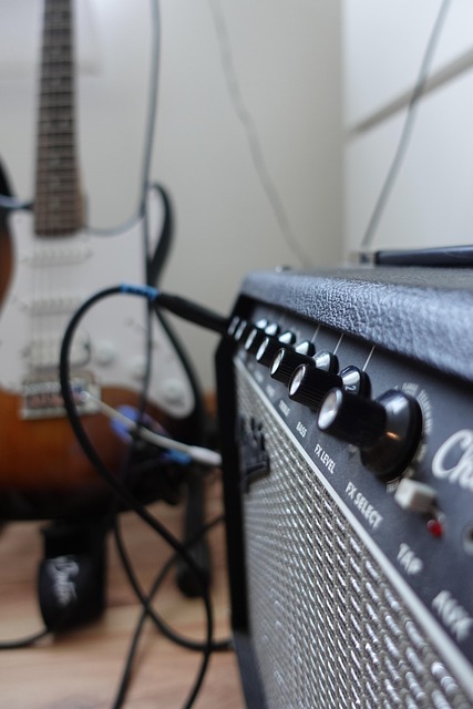 Free Guitar Amplifier photo and picture