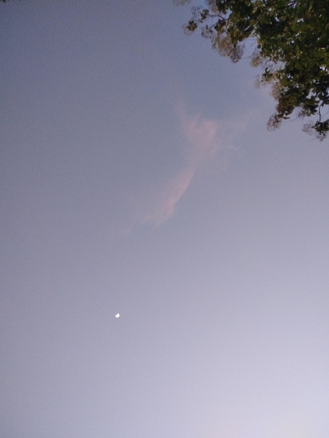 Måne, Soloppgang, Stjerner, Trær, Sky