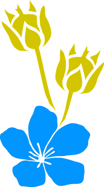 Lein, Flachs, Leinsamen, Blüte, Samen