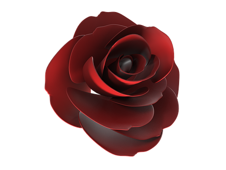 Free Rose Red Rose illustration and picture