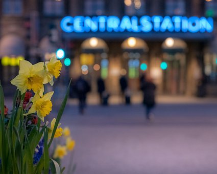 Ostern, Blume, Hauptbahnhof, Gebäude