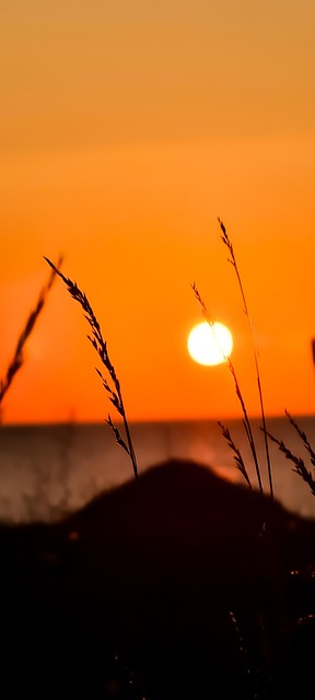 Atardecer, Naturaleza, Vista, Costa