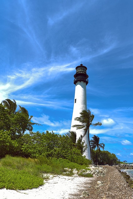 Free Florida Vibrant photo and picture