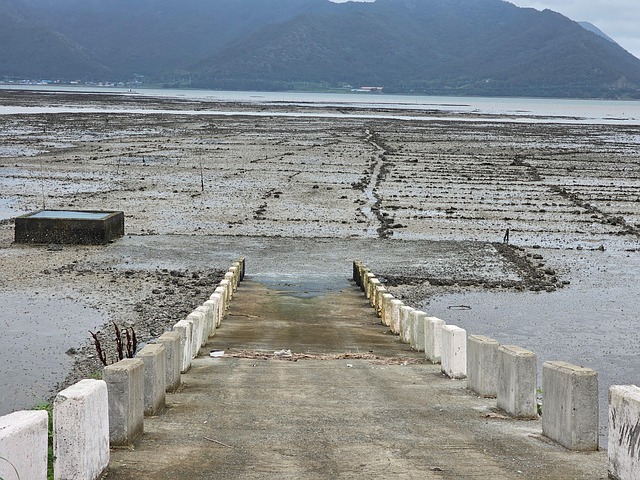 Free Ocean Foreshore photo and picture