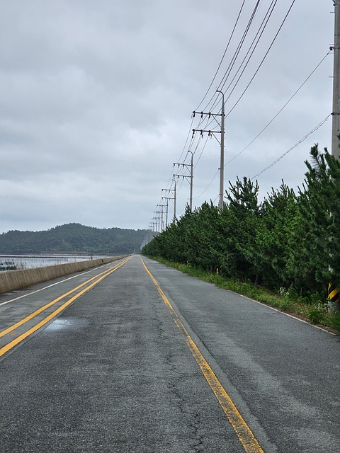 Free Road Street photo and picture