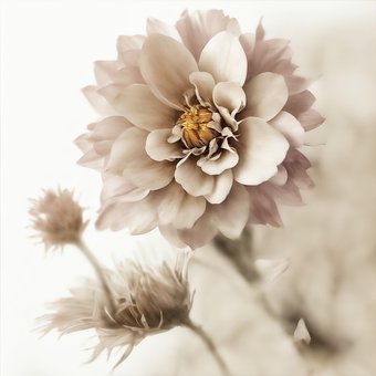 Ai Generert, Blomster, Blomstermaleri