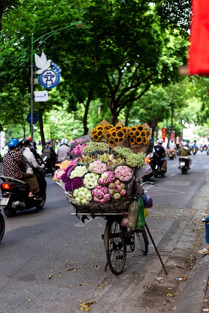 Free City Hanoi photo and picture