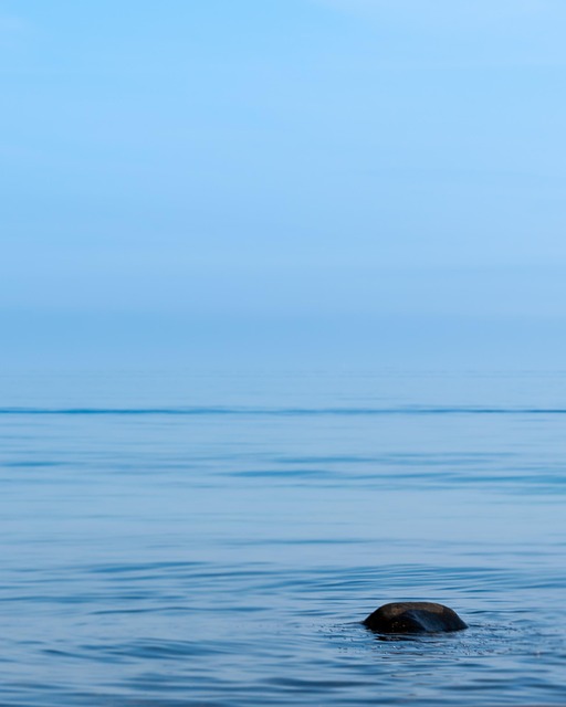 Meer, Wasser, Sommer, Blau, Horizonte