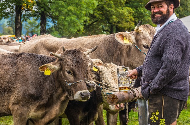 Free ai generated farmer calves illustration