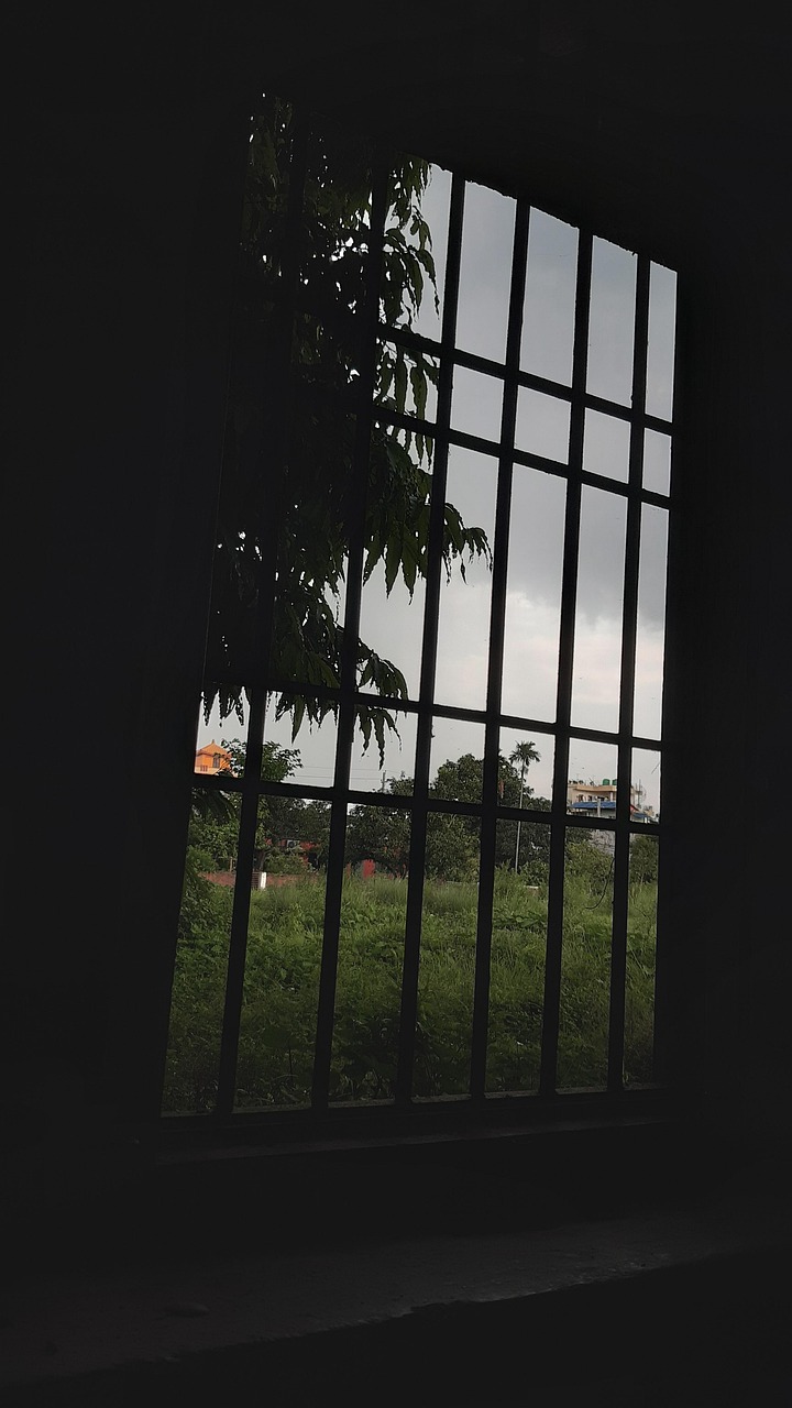 Window See Through Nature Free photo on Pixabay Pixabay