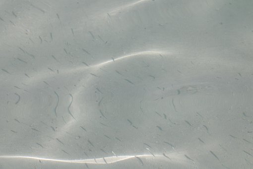 Free Ocean Water photo and picture